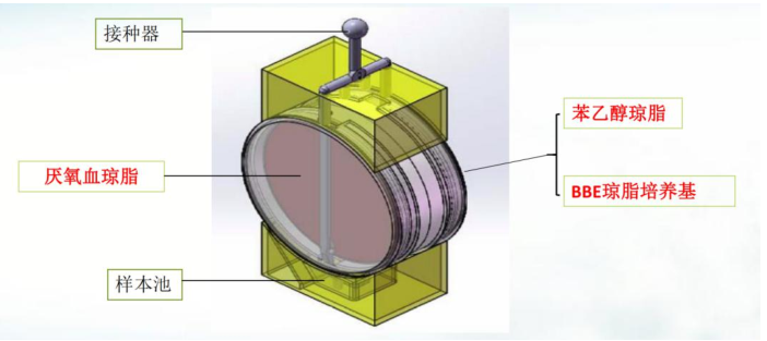 ΢Žͼ_20211129101053.png