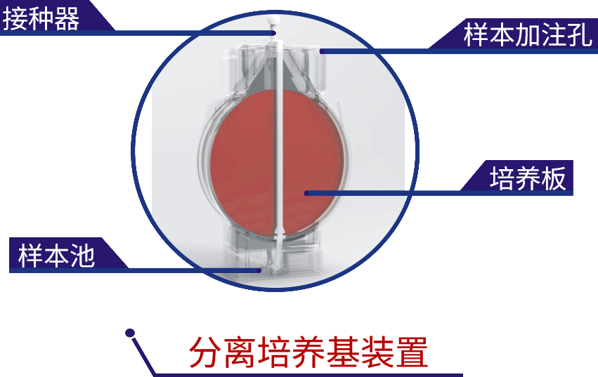 ͼ1.png